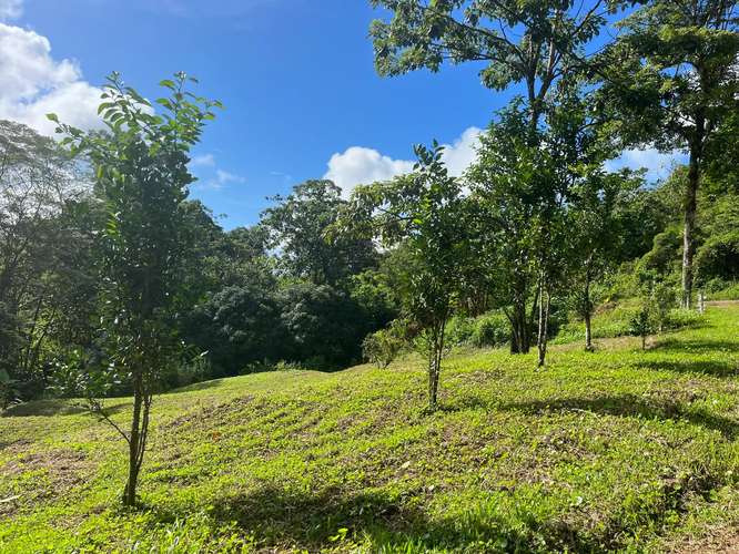 Espectacular Finca Ecológica de Montaña en Bijagual - Imagen 2
