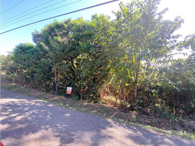 VENTA DE LOTE CON RANCHO, SAN JOSE, TURRUBARES, SAN FRANCISCO - Imagen 8