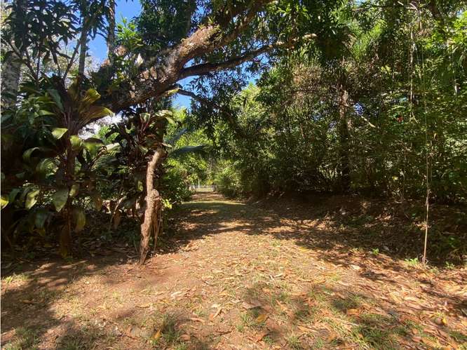 VENTA DE LOTE CON RANCHO, SAN JOSE, TURRUBARES, SAN FRANCISCO - Imagen 6