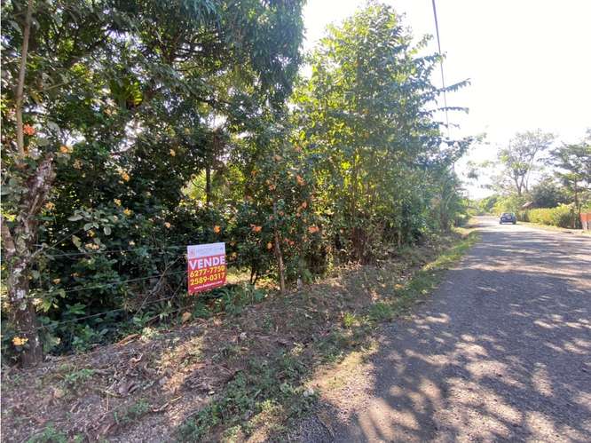 VENTA DE LOTE CON RANCHO, SAN JOSE, TURRUBARES, SAN FRANCISCO - Imagen 13