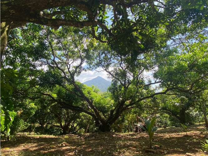 VENTA DE LOTE CON RANCHO, SAN JOSE, TURRUBARES, SAN FRANCISCO - Imagen 14
