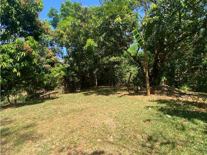 VENTA DE LOTE CON RANCHO, SAN JOSE, TURRUBARES, SAN FRANCISCO - Imagen 17