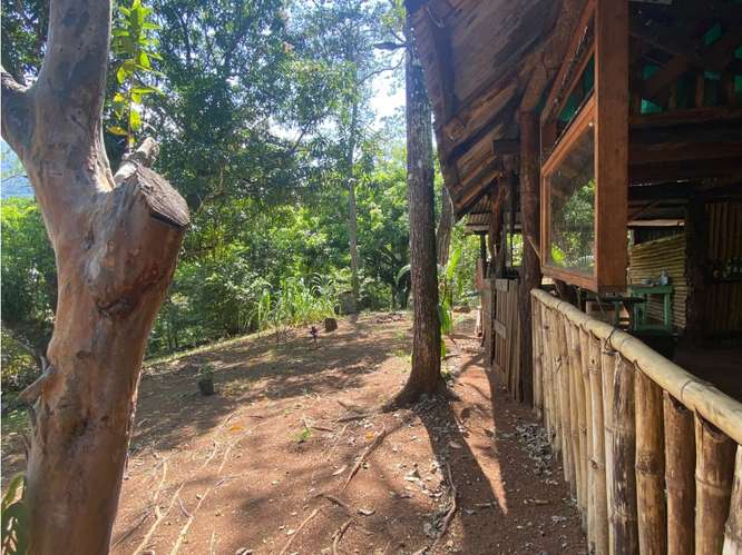 VENTA DE LOTE CON RANCHO, SAN JOSE, TURRUBARES, SAN FRANCISCO - Imagen 4