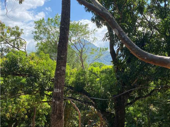 VENTA DE LOTE CON RANCHO, SAN JOSE, TURRUBARES, SAN FRANCISCO - Imagen 12