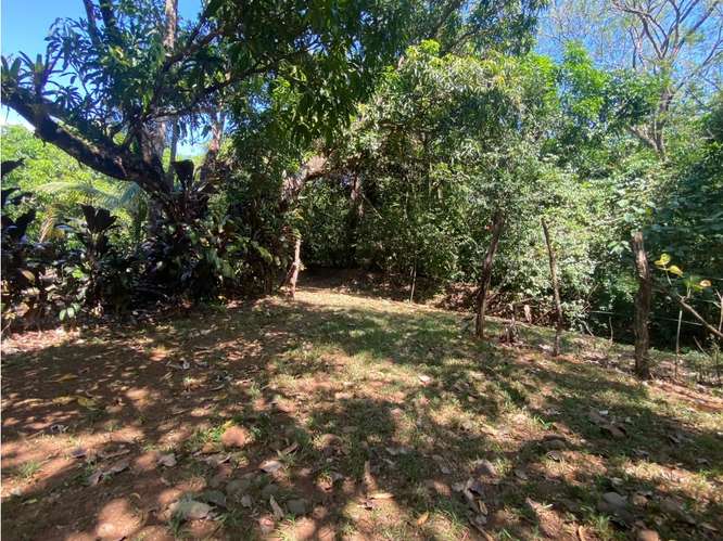 VENTA DE LOTE CON RANCHO, SAN JOSE, TURRUBARES, SAN FRANCISCO - Imagen 15