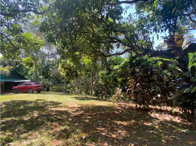 VENTA DE LOTE CON RANCHO, SAN JOSE, TURRUBARES, SAN FRANCISCO - Imagen 19