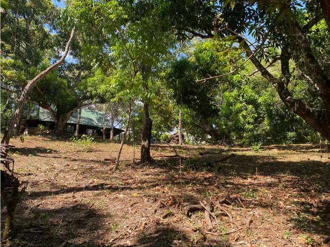 VENTA DE LOTE CON RANCHO, SAN JOSE, TURRUBARES, SAN FRANCISCO - Imagen 9