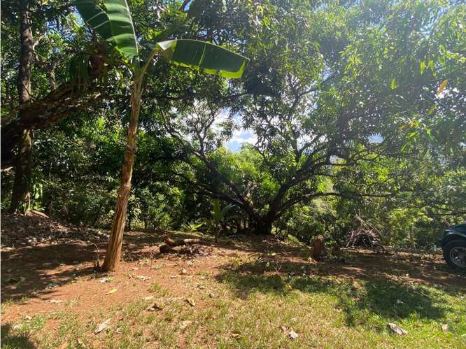 VENTA DE LOTE CON RANCHO, SAN JOSE, TURRUBARES, SAN FRANCISCO - Imagen 7