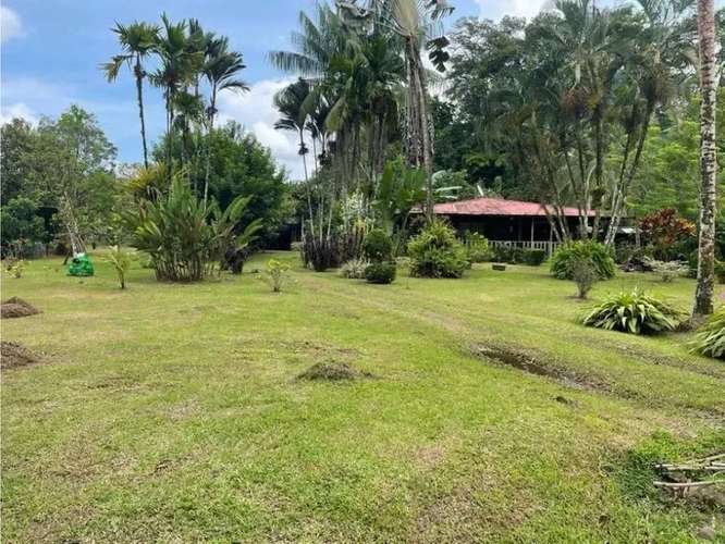 Paraíso caribeño, Guácimo, Limón