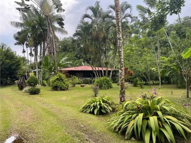 Caribbean Paradise, Guácimo, Limón