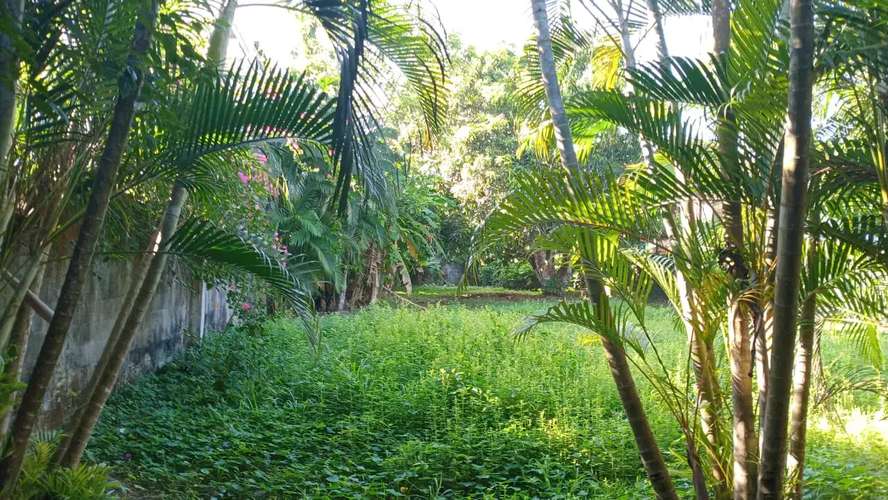 ¡Oportunidad de Venta en Ubicación Soñada en Jacó! Lote de 981 m² Esperándole - Imagen 2