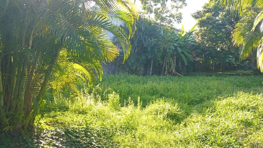 ¡Oportunidad de Venta en Ubicación Soñada en Jacó! Lote de 981 m² Esperándole - Imagen 11