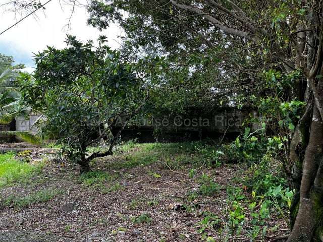 Venta de Lote en Limón-Centro. Tiene una servidumbre - Imagen 8