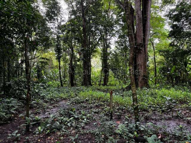 Venta de Lote en Puerto Viejo de Limón-Talamanca, Cahuita.  - Imagen 7