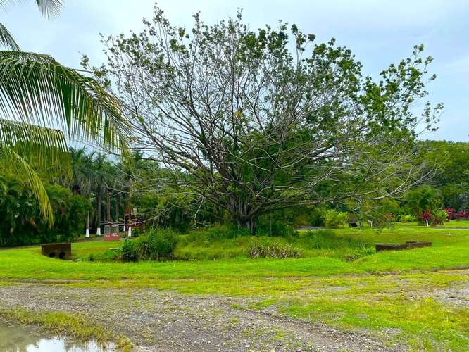 Venta Terreno Rodeado de Naturaleza en Esterillos, a min de la Playa (MV) 