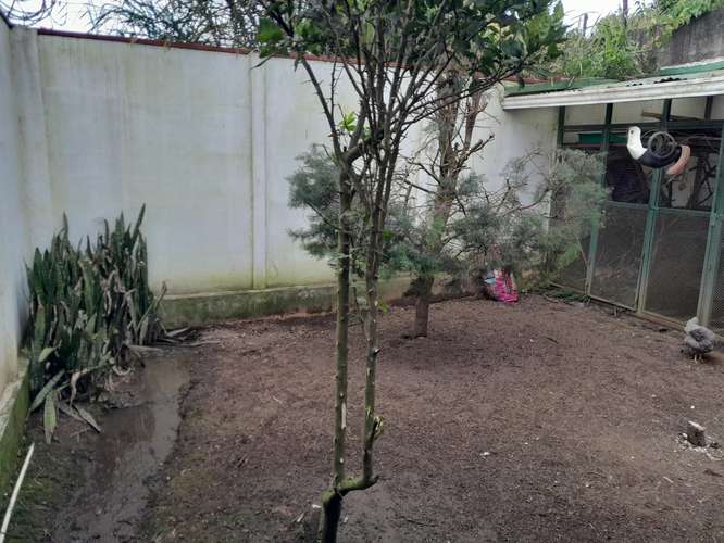 CASA EN RESIDENCIAL MOZOTAL, IPIS - Imagen 14