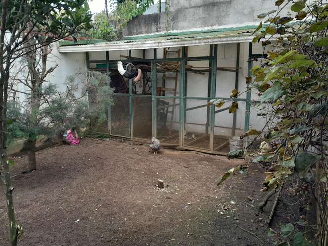 CASA EN RESIDENCIAL MOZOTAL, IPIS - Imagen 13
