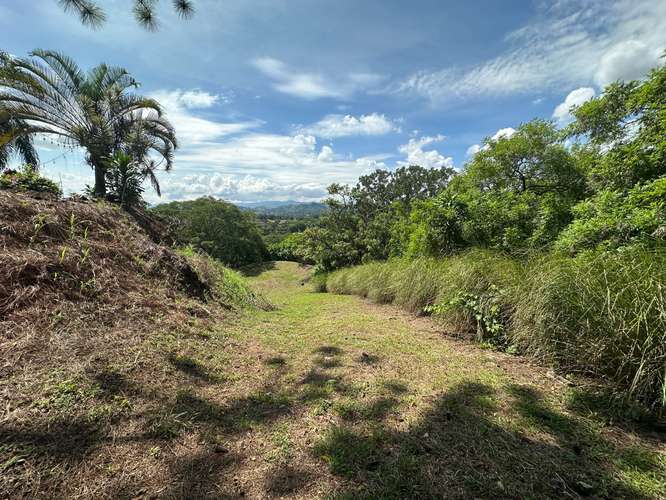 Vende lote |vista panorámica| residencial , Santa Eulalia, Atenas (FAU) - Imagen 4
