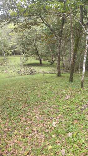 8 Hectares of Private Tropical Land with Two-Story House, Fruit Trees and Creek - Imagen 13