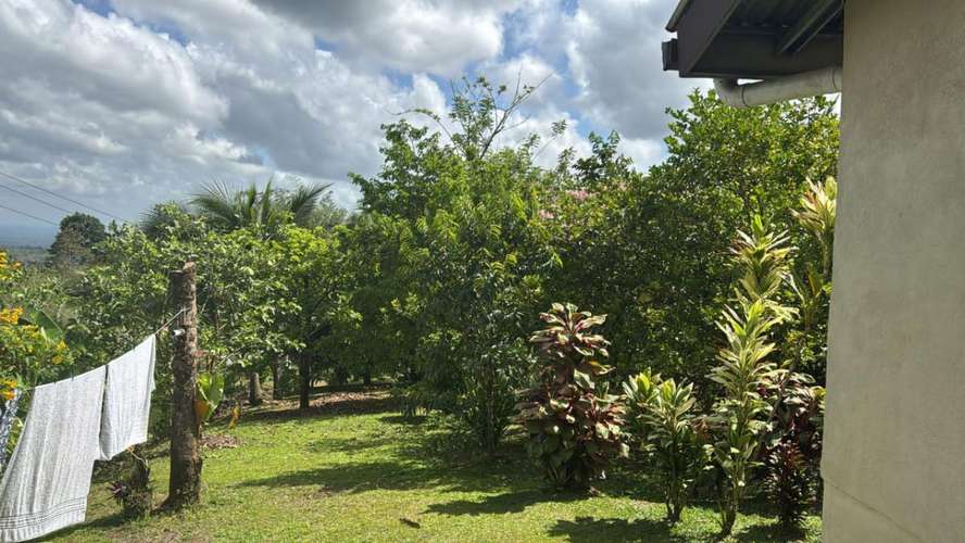 8 Hectares of Private Tropical Land with Two-Story House, Fruit Trees and Creek - Imagen 15