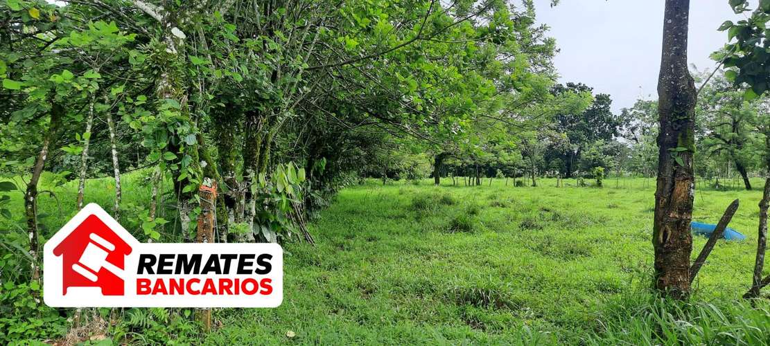 Lote en venta en Limón, Pococí