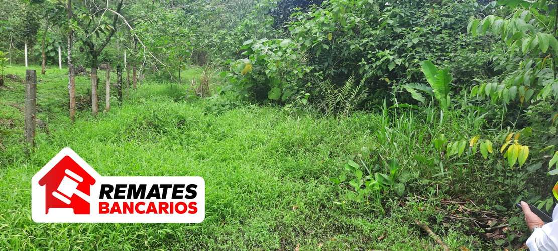 Lote en venta en Limón, Pococí