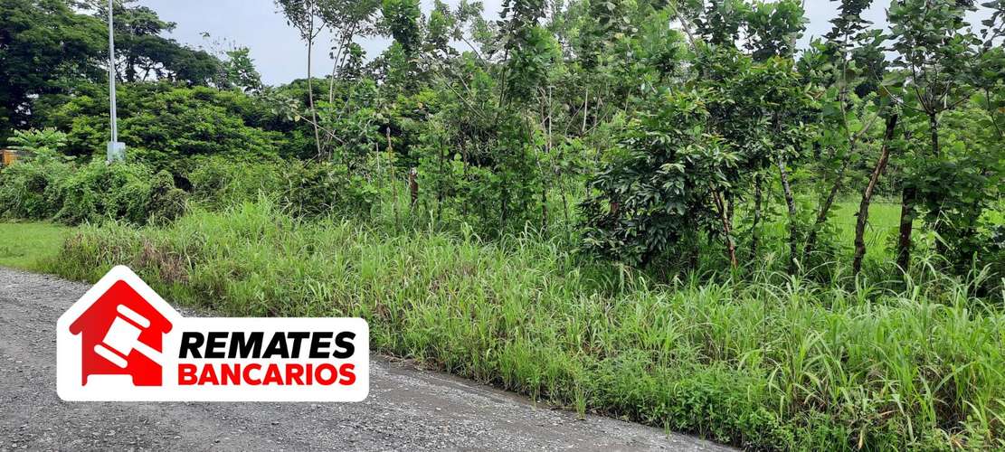 Lote en venta en Limón, Pococí