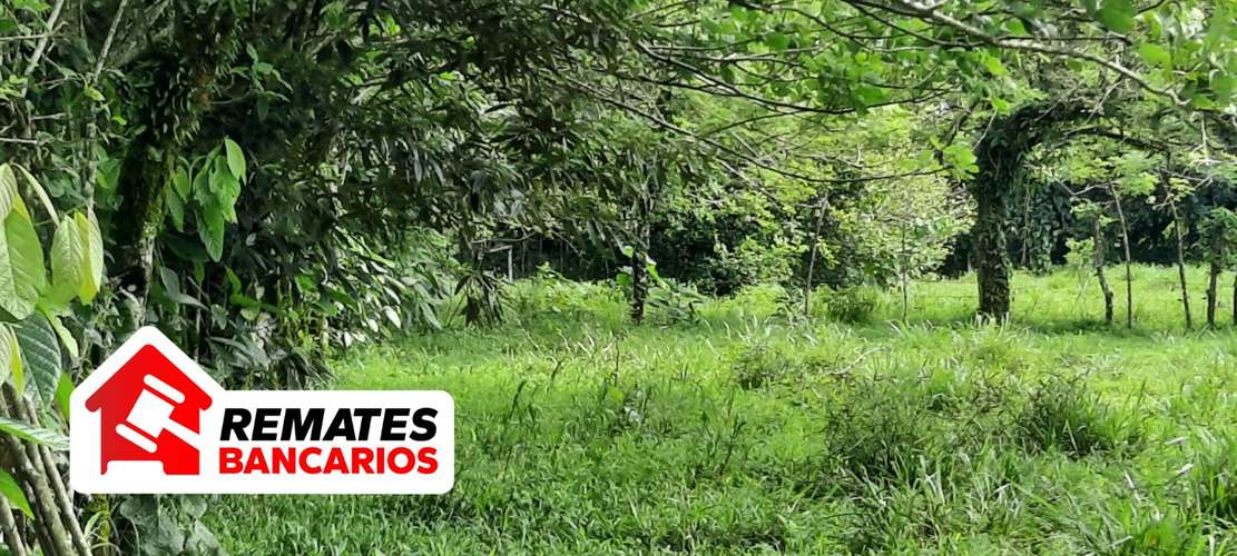 Lote en venta en Limón, Pococí