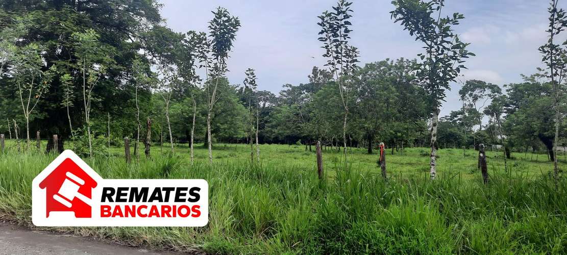 Lote en venta en Limón, Pococí