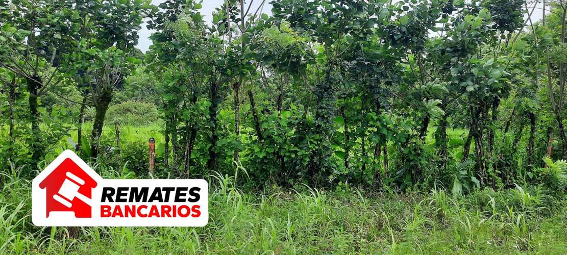 Lote en venta en Limón, Pococí