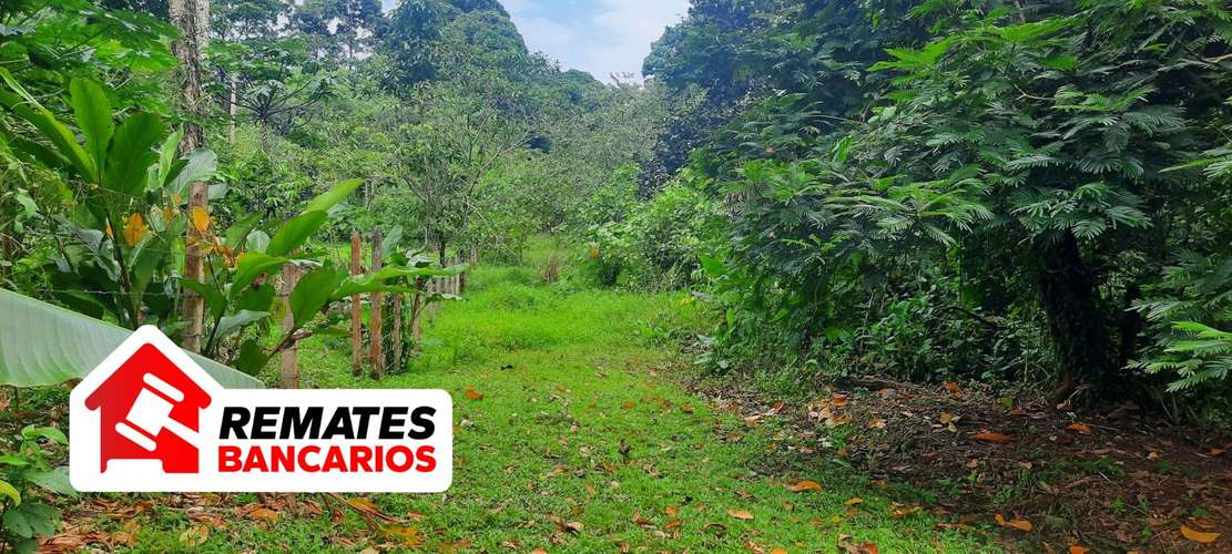 Lote en venta en Limón, Pococí