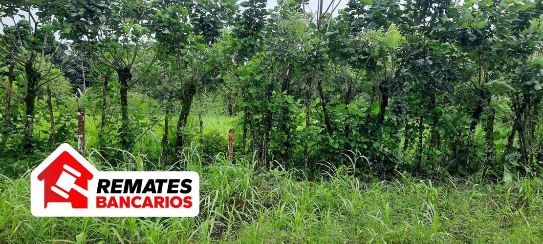 Lote en venta en Limón, Pococí