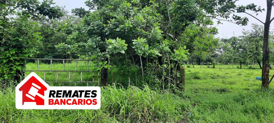 Lote en venta en Limón, Pococí