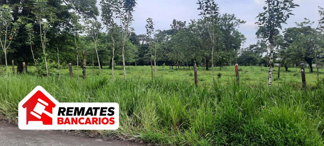 Lote en venta en Limón, Pococí