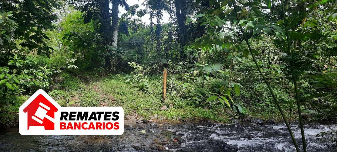 Lote en venta en Limón, Pococí