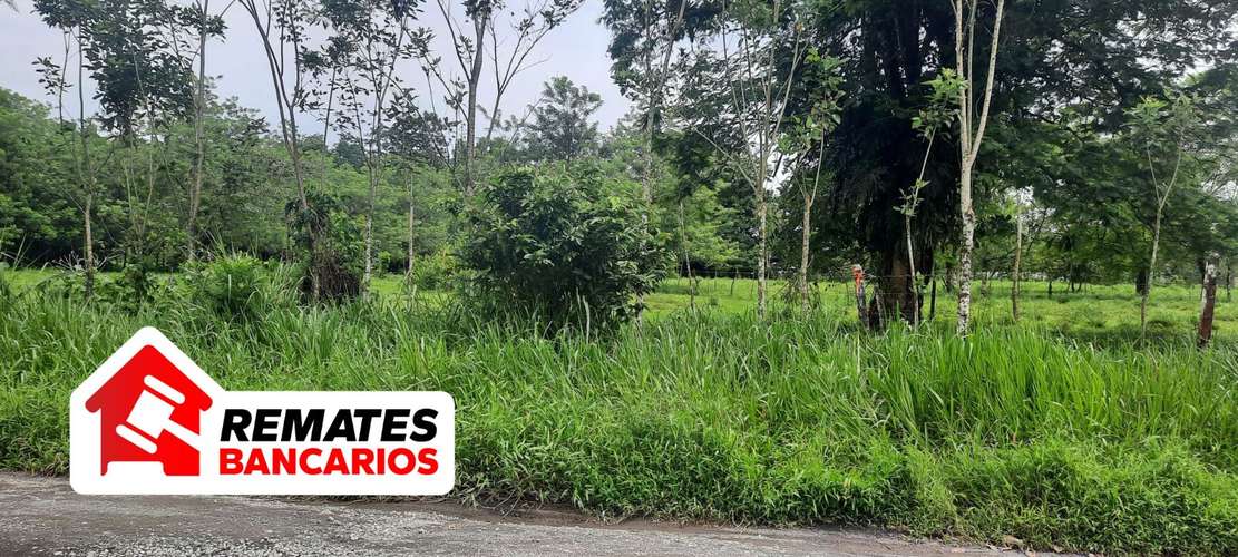 Lote en venta en Limón, Pococí