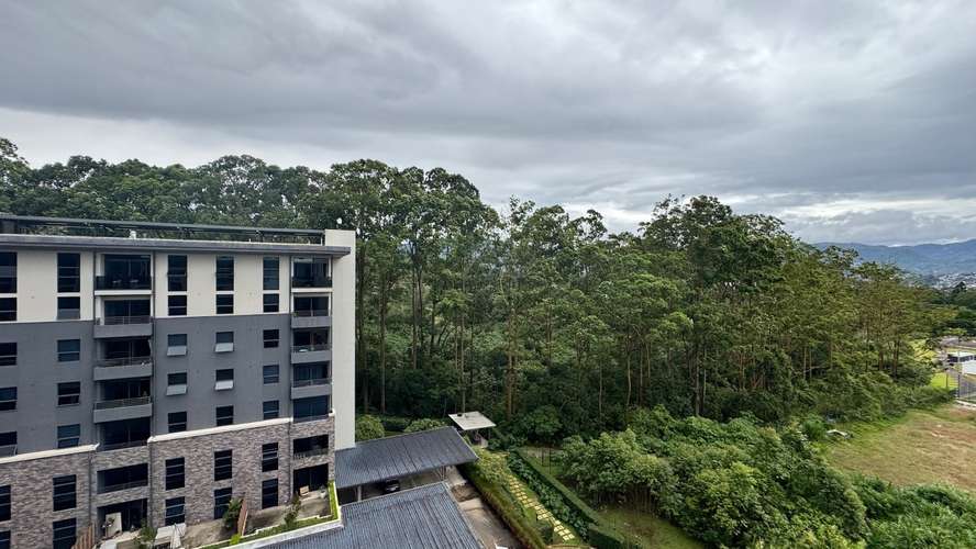 Alquiler de Condo Nueve 84 amueblado- 1 habitación, Curridabat (AD)