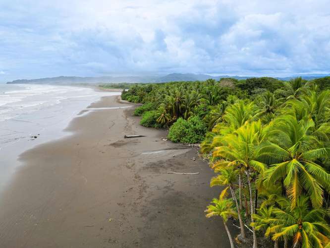  LAND FOR SALE | ESTERILLOS OESTE, COSTA RICA