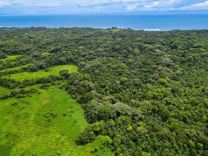  LAND FOR SALE | ESTERILLOS OESTE, COSTA RICA