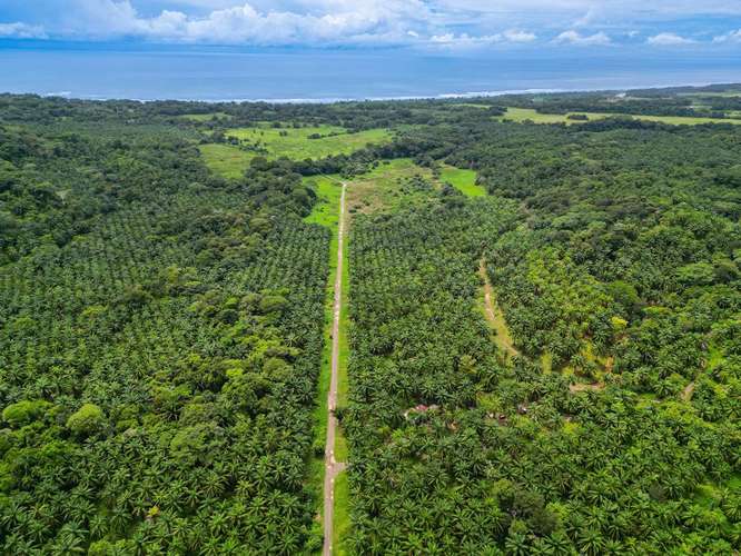  LAND FOR SALE | ESTERILLOS OESTE, COSTA RICA