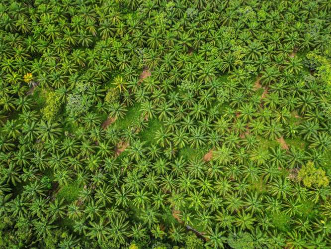  LAND FOR SALE | ESTERILLOS OESTE, COSTA RICA