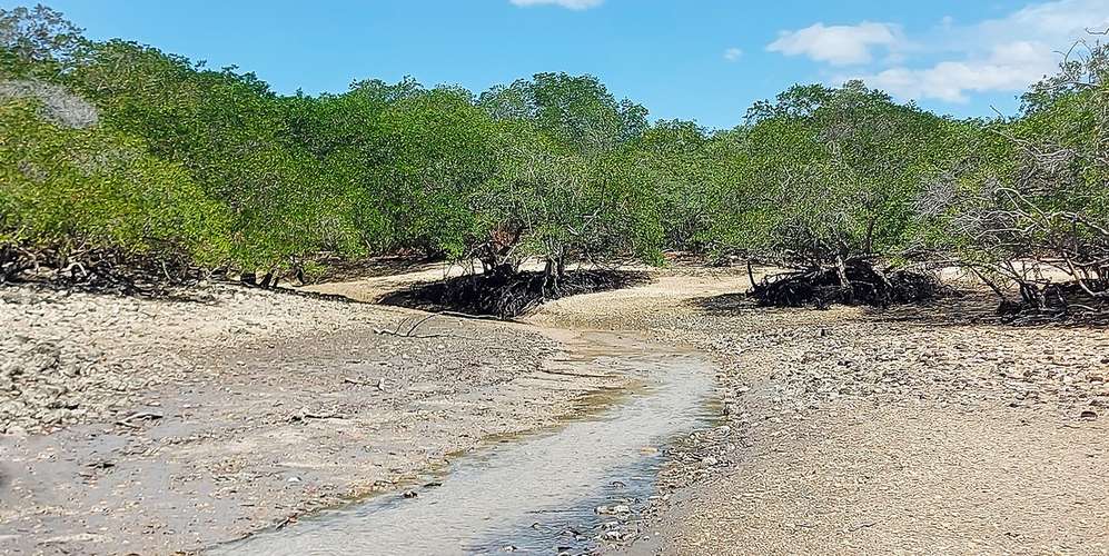 Isla privada en Abangares Guanacaste - acceso terrestre - inversión - Imagen 5