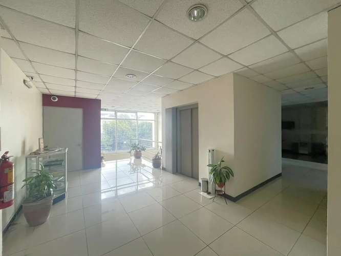 Alquiler Edificio oficina en Sabana Este - Imagen 11