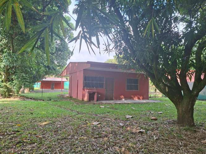 Linda casa de 2 cuartos en la garita de Alajuela. Luz y agua incluida