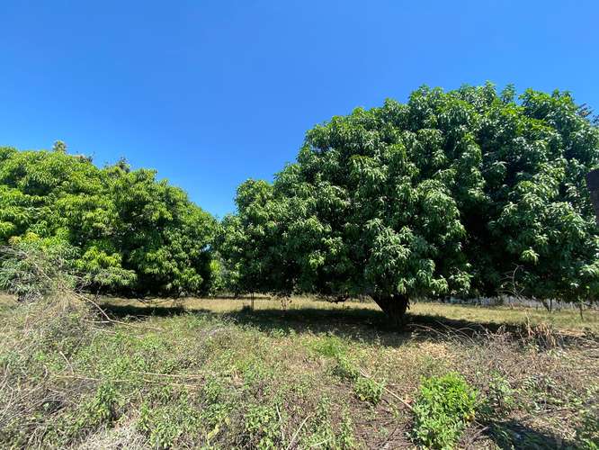 TERRENO IDEAL PARA BODEGAS EN VENTA  CEIBA -OROTINA - Imagen 7