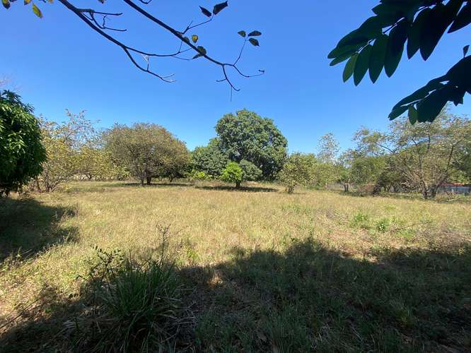 TERRENO IDEAL PARA BODEGAS EN VENTA  CEIBA -OROTINA - Imagen 2