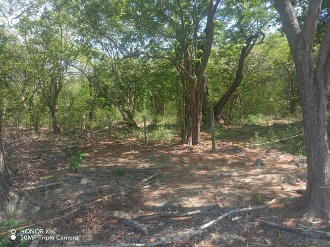 Venta terreno con uso de suelo industrial El Coyol Alajuela - Imagen 3