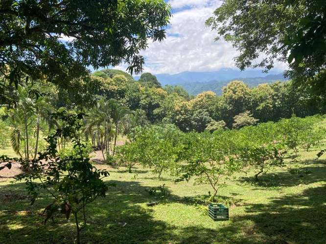 Venta terreno con uso de suelo industrial El Coyol Alajuela - Imagen 2