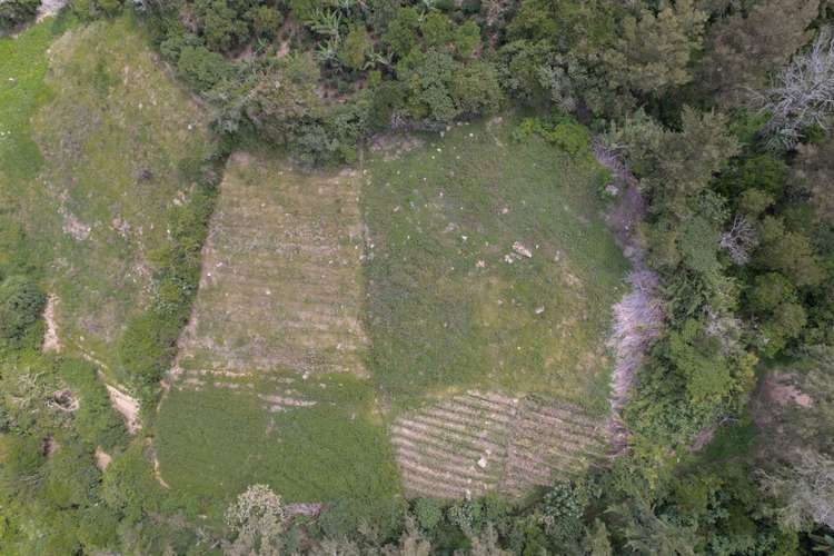 Venta de lote Propiedad Rodeada de Naturaleza y Unas hermosas Vistas - Imagen 4
