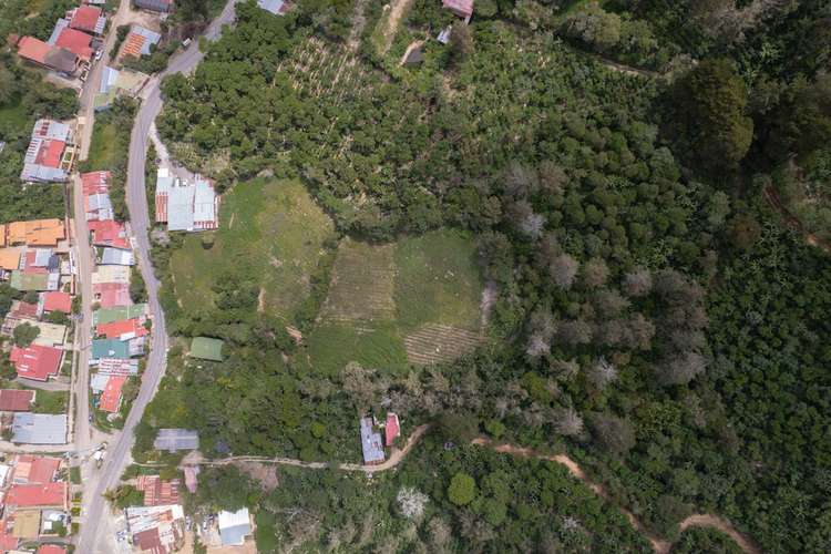 Venta de lote Propiedad Rodeada de Naturaleza y Unas hermosas Vistas - Imagen 5